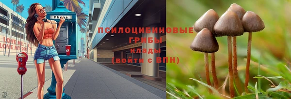 эйфоретик Алзамай