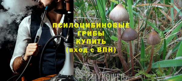 ПСИЛОЦИБИНОВЫЕ ГРИБЫ Алексин