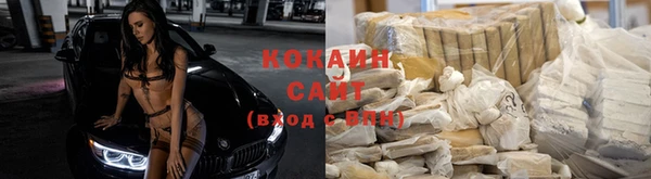 индика Алексеевка